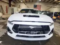 2024 Ford MUSTANG фото