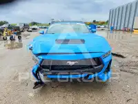 2024 Ford MUSTANG фото