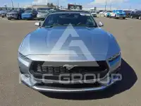 2024 Ford MUSTANG фото