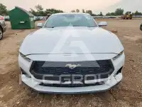2024 Ford MUSTANG фото