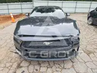 2024 Ford MUSTANG фото