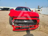 2024 Ford MUSTANG фото