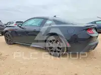 2024 Ford MUSTANG фото