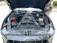 2024 Ford MUSTANG photo