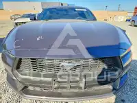 2024 Ford MUSTANG фото