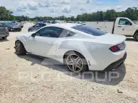 2024 Ford MUSTANG фото