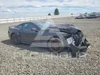 2024 Ford MUSTANG photo
