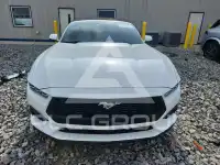 2024 Ford MUSTANG фото