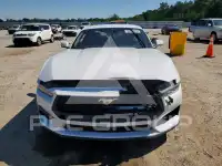 2024 Ford MUSTANG photo