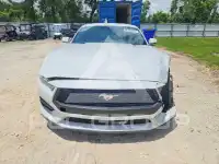 2024 Ford MUSTANG фото