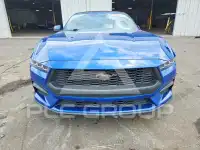 2024 Ford MUSTANG фото