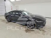 2024 Ford MUSTANG photo