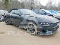 2024 Ford MUSTANG фото