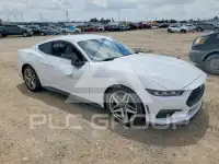 2024 Ford MUSTANG photo