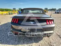 2024 Ford MUSTANG фото