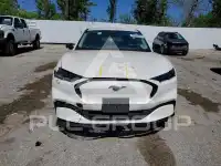 2024 Ford MUSTANG photo