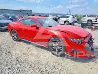 2024 Ford MUSTANG фото