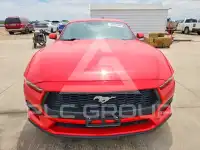 2024 Ford MUSTANG photo