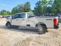 2024 Ford F-250 фото