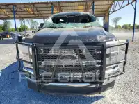 2024 Ford F-250 photo