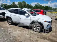 2024 Hyundai Tucson photo