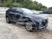 2024 Hyundai Tucson photo