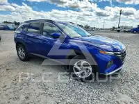 2024 Hyundai Tucson фото