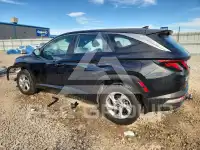 2024 Hyundai Tucson photo
