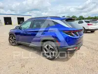 2024 Hyundai Tucson фото