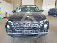 2024 Hyundai Tucson photo