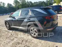 2024 Hyundai Tucson photo