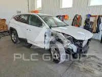 2024 Hyundai Tucson photo