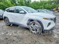 2024 Hyundai Tucson photo