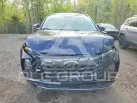 2024 Hyundai Tucson photo