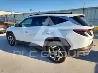 2024 Hyundai Tucson photo