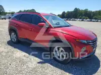 2024 Hyundai Tucson photo