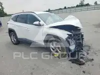 2024 Hyundai Tucson photo