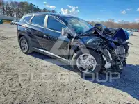 2024 Hyundai Tucson photo