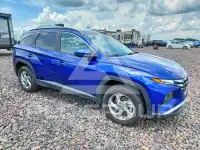 2024 Hyundai Tucson фото