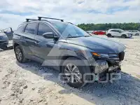 2024 Hyundai Tucson фото