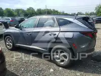 2024 Hyundai Tucson photo