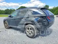 2024 Hyundai Tucson фото