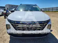 2024 Hyundai Tucson фото