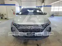 2024 Hyundai Tucson photo