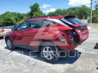 2024 Hyundai Tucson photo