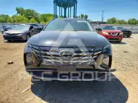 2024 Hyundai Tucson фото