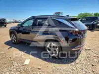 2024 Hyundai Tucson фото