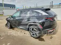 2024 Hyundai Tucson фото