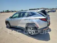 2024 Hyundai Tucson photo