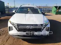 2024 Hyundai Tucson фото